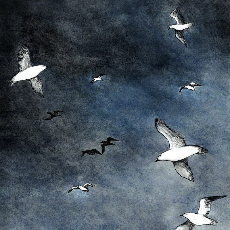 Album artwork by Giulia Pex
